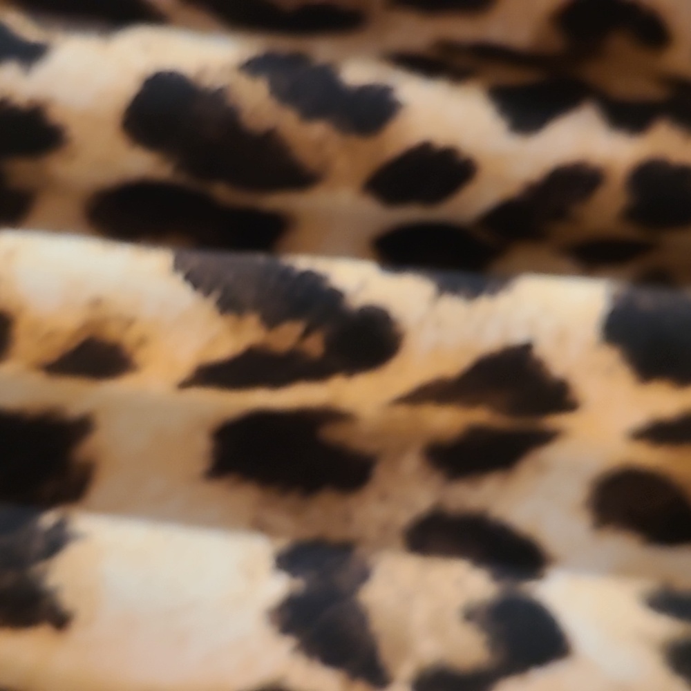 Leopard Dress